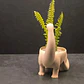 Macetero - Diseño Dinosaurio - Miniatura 3