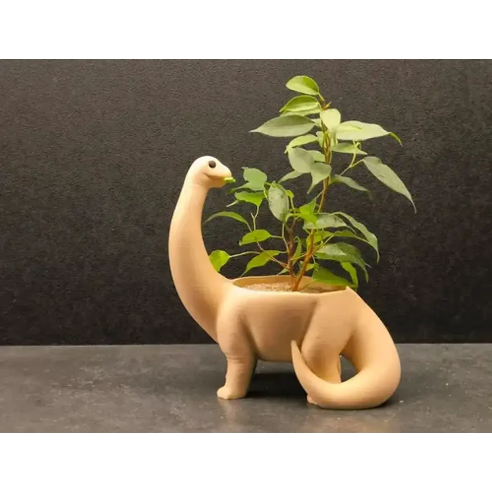 Macetero - Diseño Dinosaurio 6