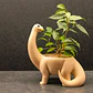 Macetero - Diseño Dinosaurio - Miniatura 6