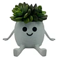 Mini Macetero - Macetero Feliz - Miniatura 1