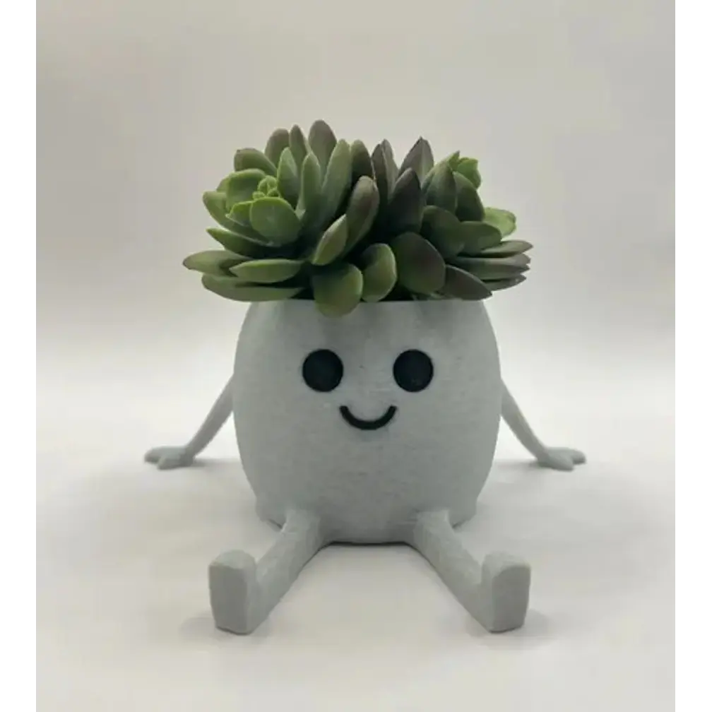 Mini Macetero - Macetero Feliz 2