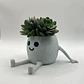 Mini Macetero - Macetero Feliz - Miniatura 3