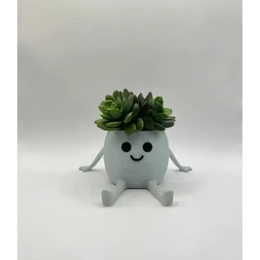 Mini Macetero - Macetero Feliz 5