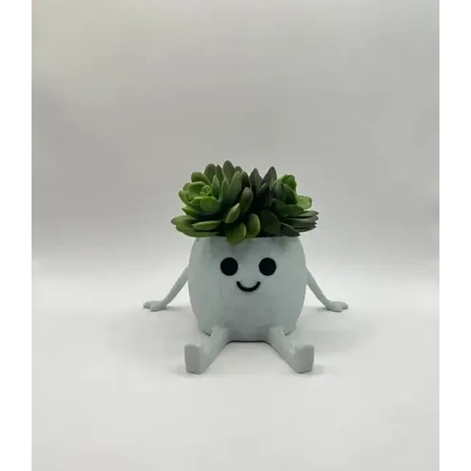 Mini Macetero - Macetero Feliz 5