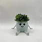 Mini Macetero - Macetero Feliz - Miniatura 5