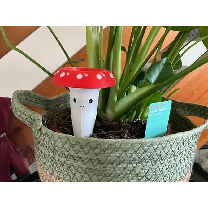 Globo De Riego Para Plantas - Diseño Honguito 3