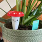 Globo De Riego Para Plantas - Diseño Honguito - Miniatura 3