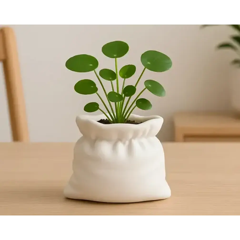 Macetero - Diseño Bolsa 2