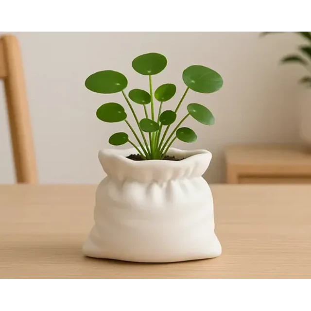 Macetero - Diseño Bolsa