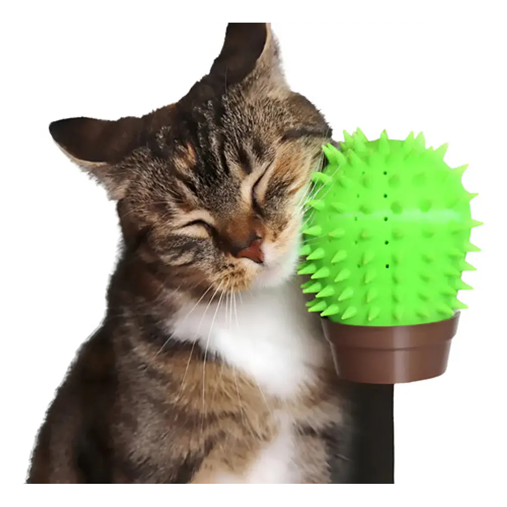 Rascador Para Gatos - Figura De Cactus 1