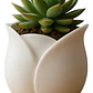 Macetero - Diseño Tulipán - Miniatura 1