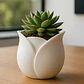 Macetero - Diseño Tulipán - Miniatura 2