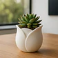 Macetero - Diseño Tulipán - Miniatura 5
