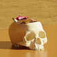 Tazón Halloween - Calavera - Miniatura 4