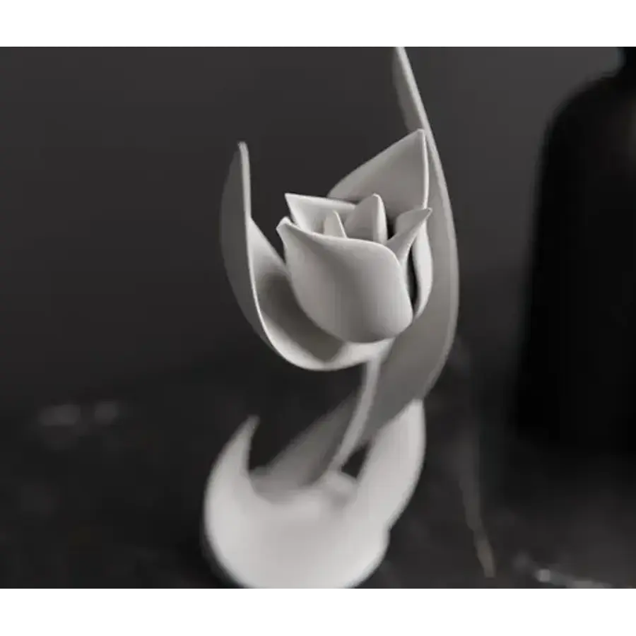 Decoración Minimalista - Flor