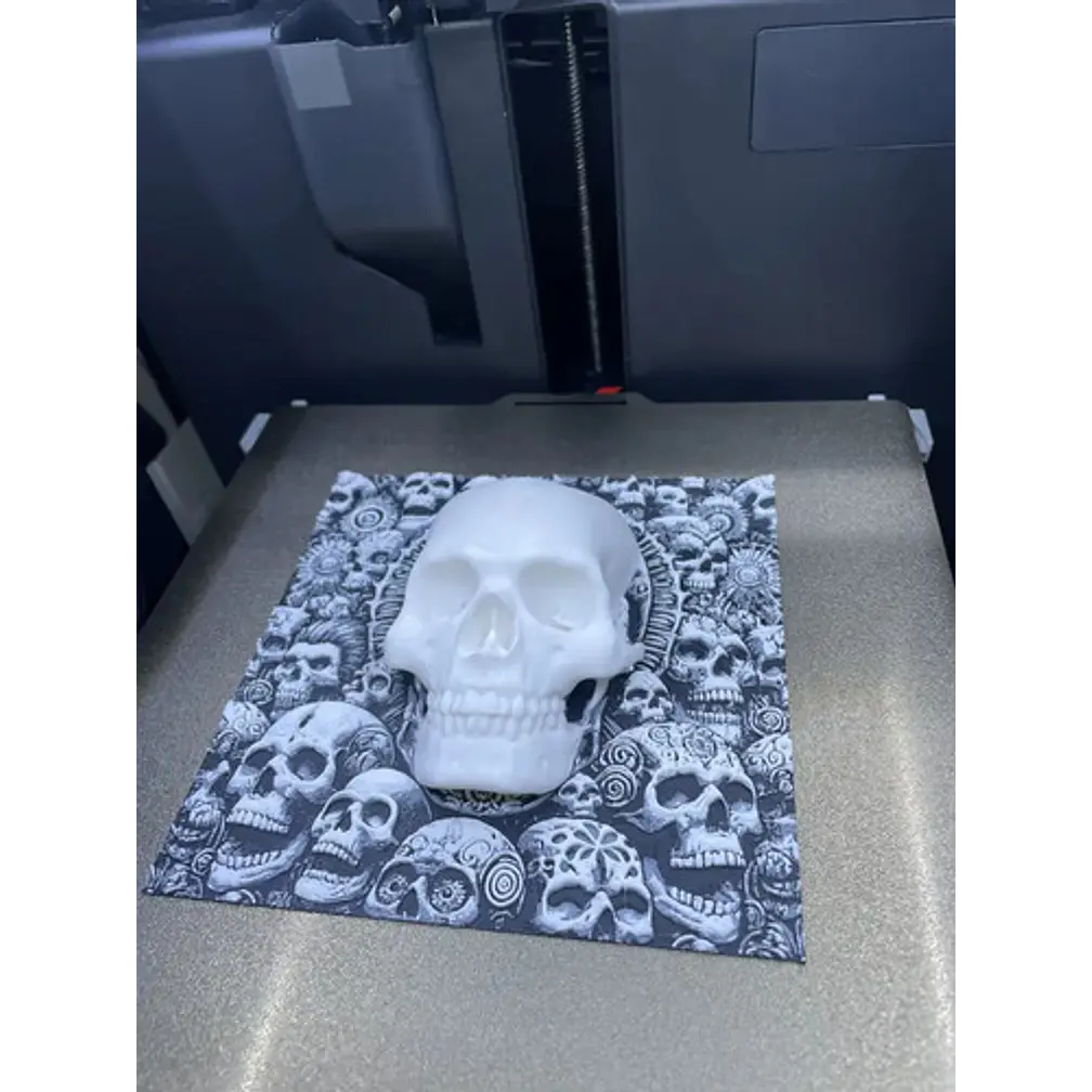 Cuadro Decorativo - Estilo Calavera 3d 3