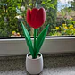 Figura Decorativa Tulipan En Maceta - Miniatura 3