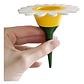 Globo De Riego Para Plantas - Diseño Margarita - Miniatura 1