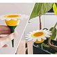 Globo De Riego Para Plantas - Diseño Margarita - Miniatura 3