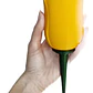 Globo De Riego Para Plantas - Diseño Tulipán - Miniatura 1