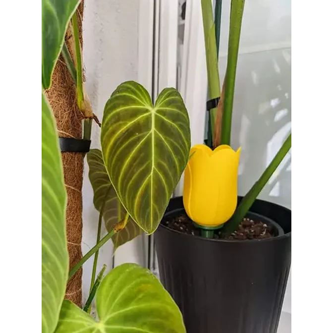 Globo De Riego Para Plantas - Diseño Tulipán 2