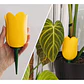 Globo De Riego Para Plantas - Diseño Tulipán - Miniatura 3