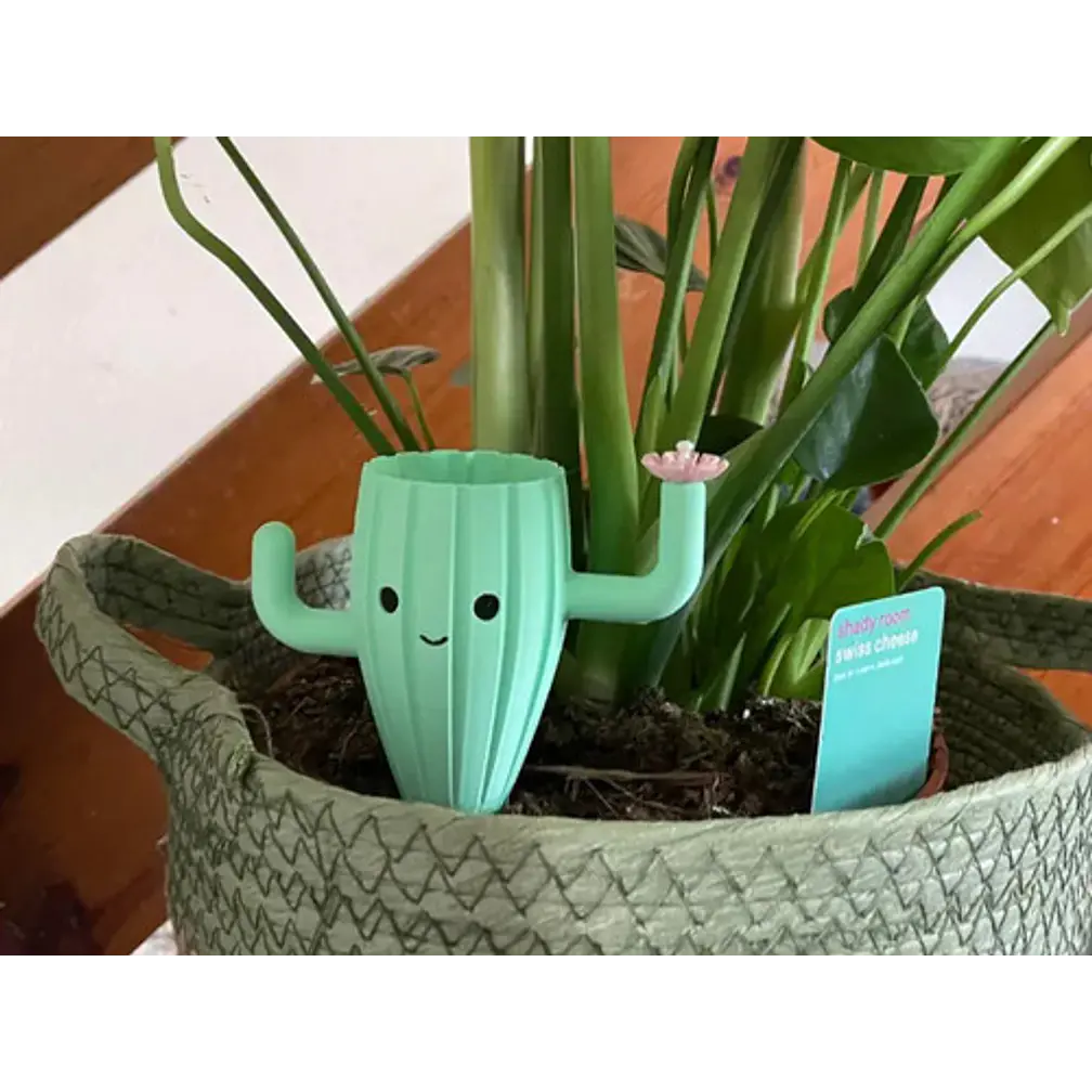 Globo De Riego Para Plantas Goteo Diseño Cactus Prints Patro 5