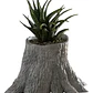 Macetero - Diseño Tronco Árbol - Miniatura 1