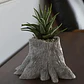 Macetero - Diseño Tronco Árbol - Miniatura 2