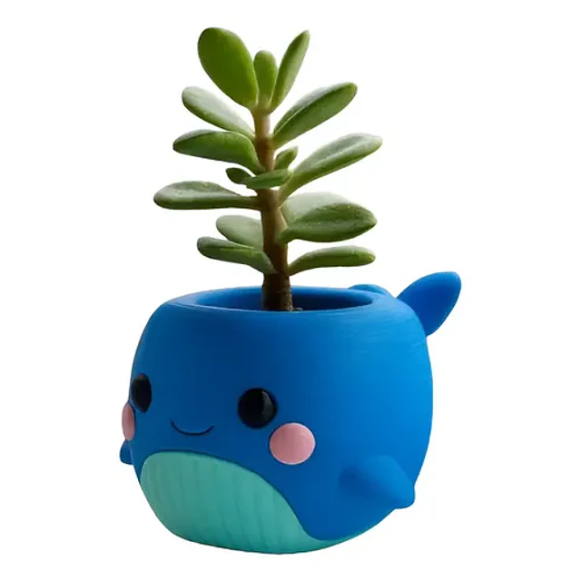 Macetero - Ballena Chibi