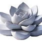 Decoración - Planta Suculenta 3d - Miniatura 1