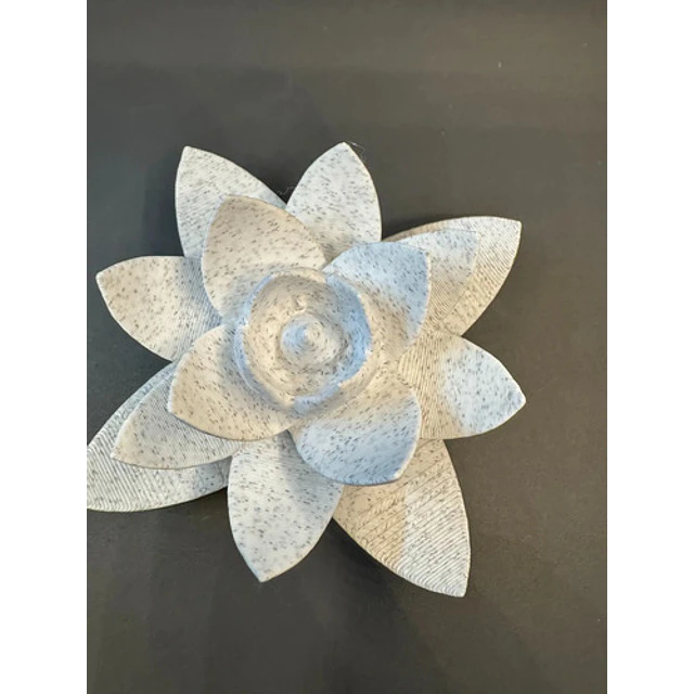 Decoración - Planta Suculenta 3d