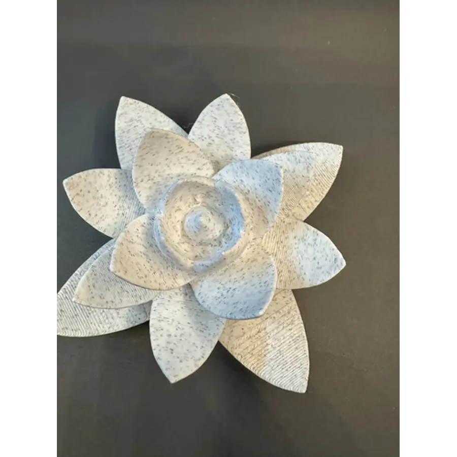 Decoración - Planta Suculenta 3d
