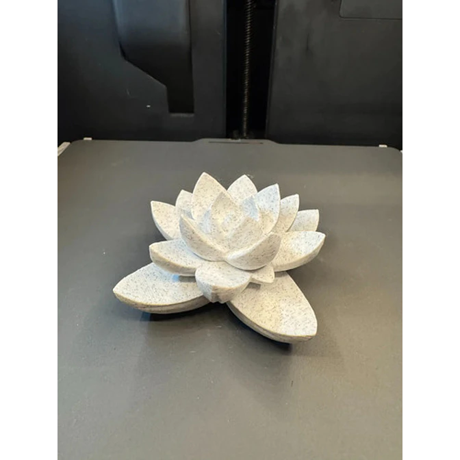 Decoración - Planta Suculenta 3d 3
