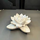 Decoración - Planta Suculenta 3d - Miniatura 3