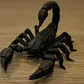 Figura - Escorpión - Miniatura 2
