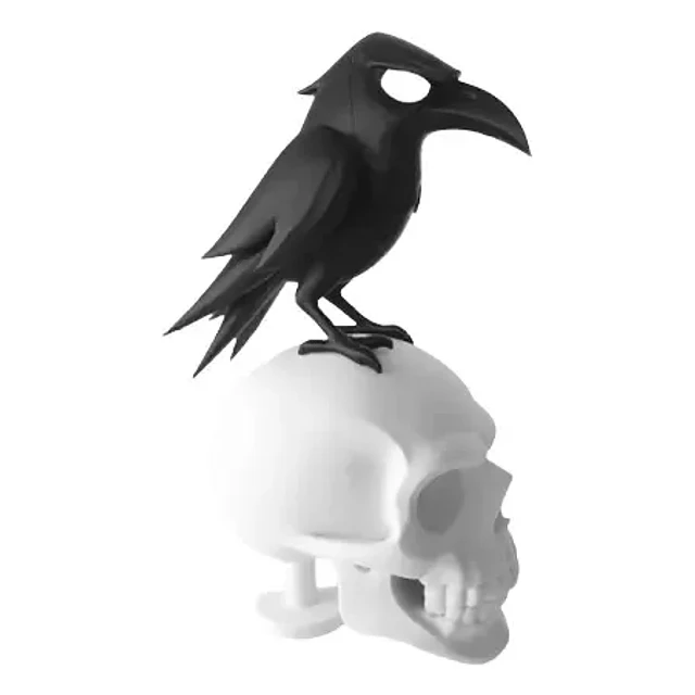 Decoración Minimalista - Cuervo Y Calavera