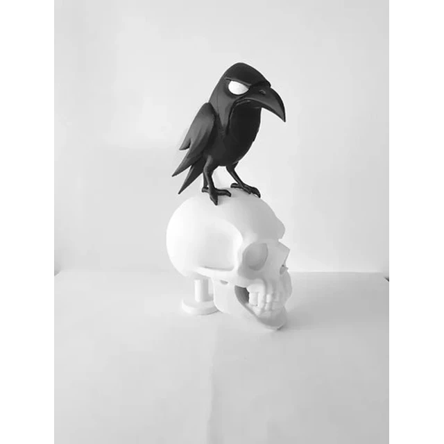 Decoración Minimalista - Cuervo Y Calavera