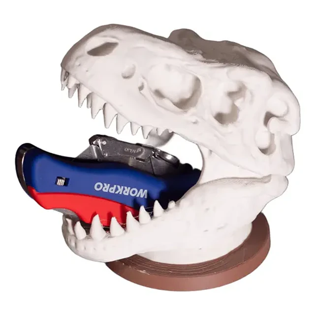 Portalápices - Calavera De T-rex
