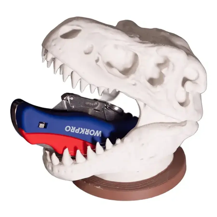 Portalápices - Calavera De T-rex