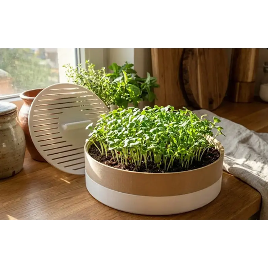 Macetero Modular Para Microvegetales