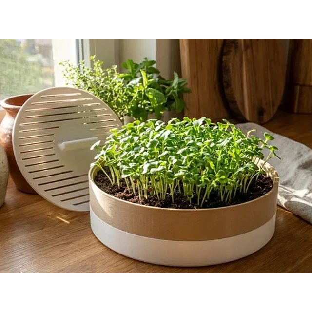 Macetero Modular Para Microvegetales