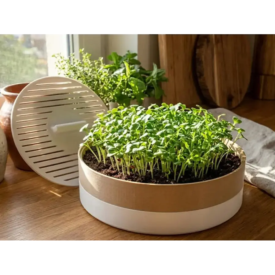 Macetero Modular Para Microvegetales