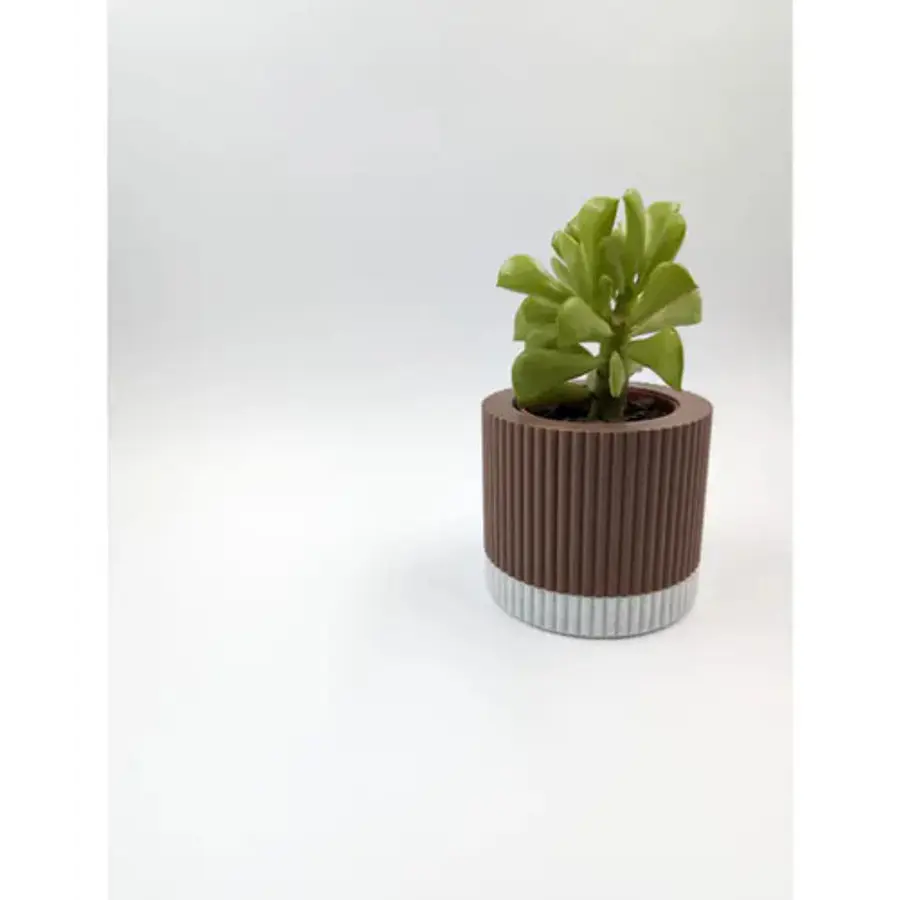 Pequeño Macetero Moderno