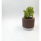 Pequeño Macetero Moderno - Miniatura 1