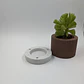Pequeño Macetero Moderno - Miniatura 2