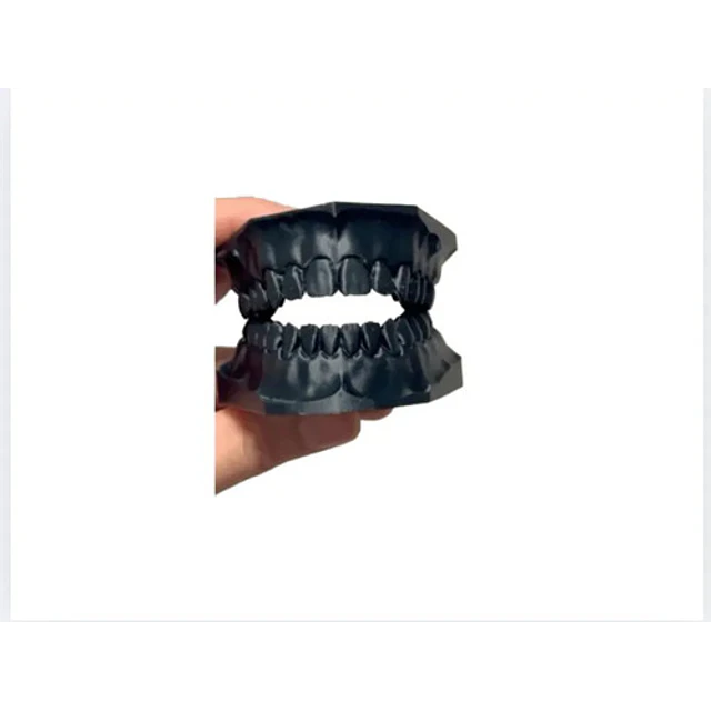 Modelo Dental Didáctico