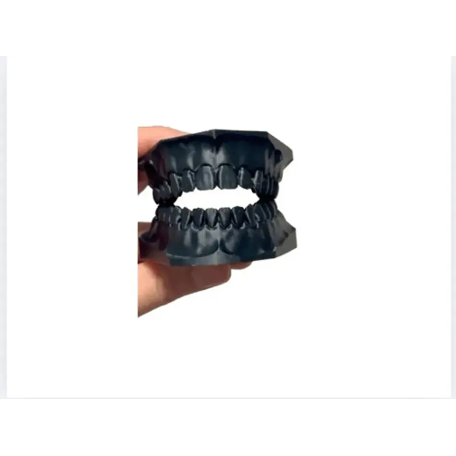 Modelo Dental Didáctico