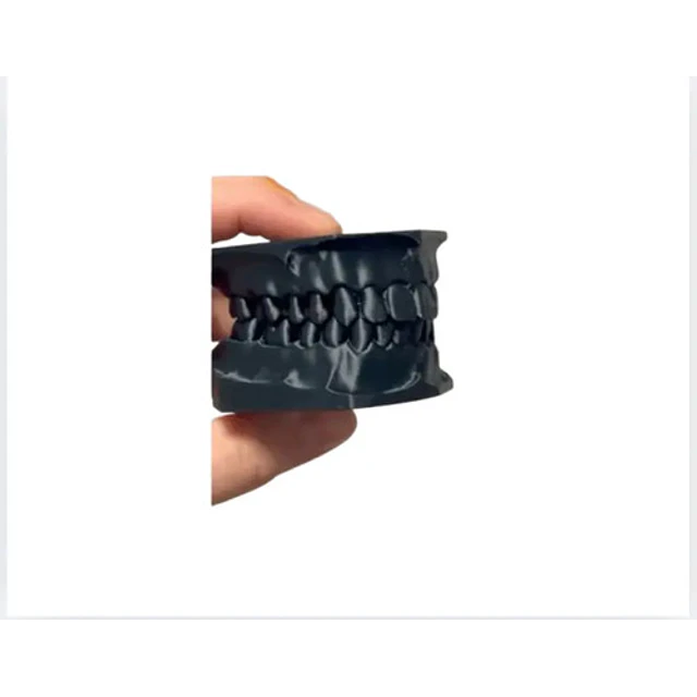 Modelo Dental Didáctico