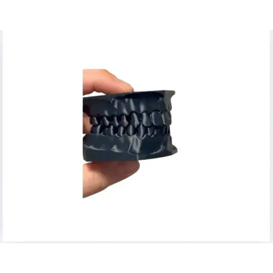 Modelo Dental Didáctico